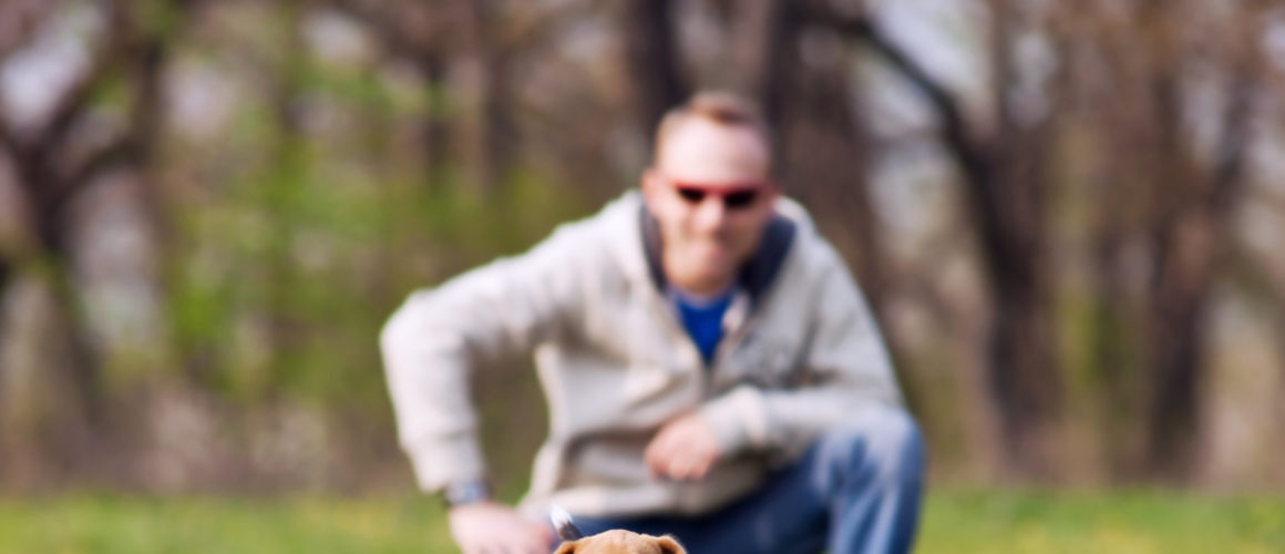 Il cane si educa o si fa educare? (2°parte)