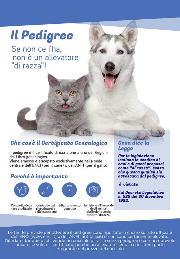 IL PEDIGREE: cos’è, a cosa serve, perchè è importante.
