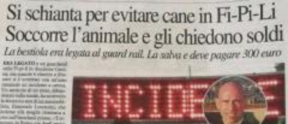 Cane investito, una legge e un LEA scaricati sui veterinari privati