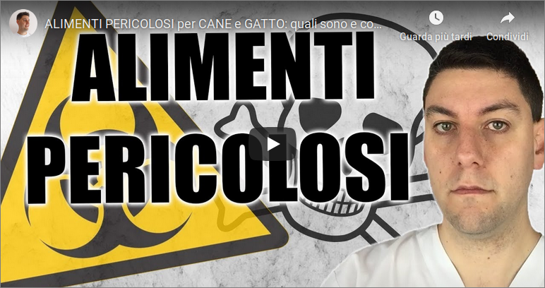 ALIMENTI PERICOLOSI per CANE e GATTO: quali sono e come valutarli