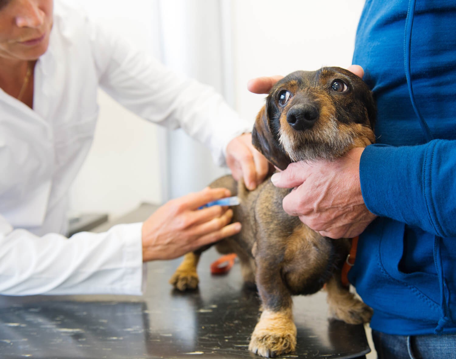 Che bello andare dal veterinario…..più o meno….