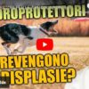 Condroprotettori: servono davvero come prevenzione?